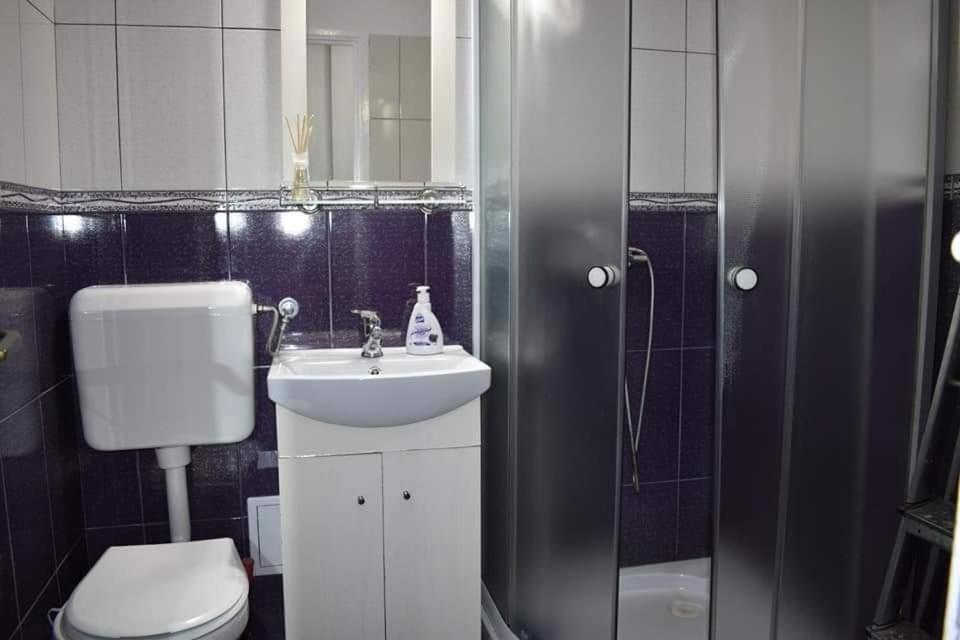 Bega Circumvalatiunii 1 Room Apartment Timişoara Exterior foto